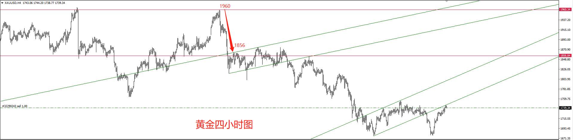 金价大行情要把握住