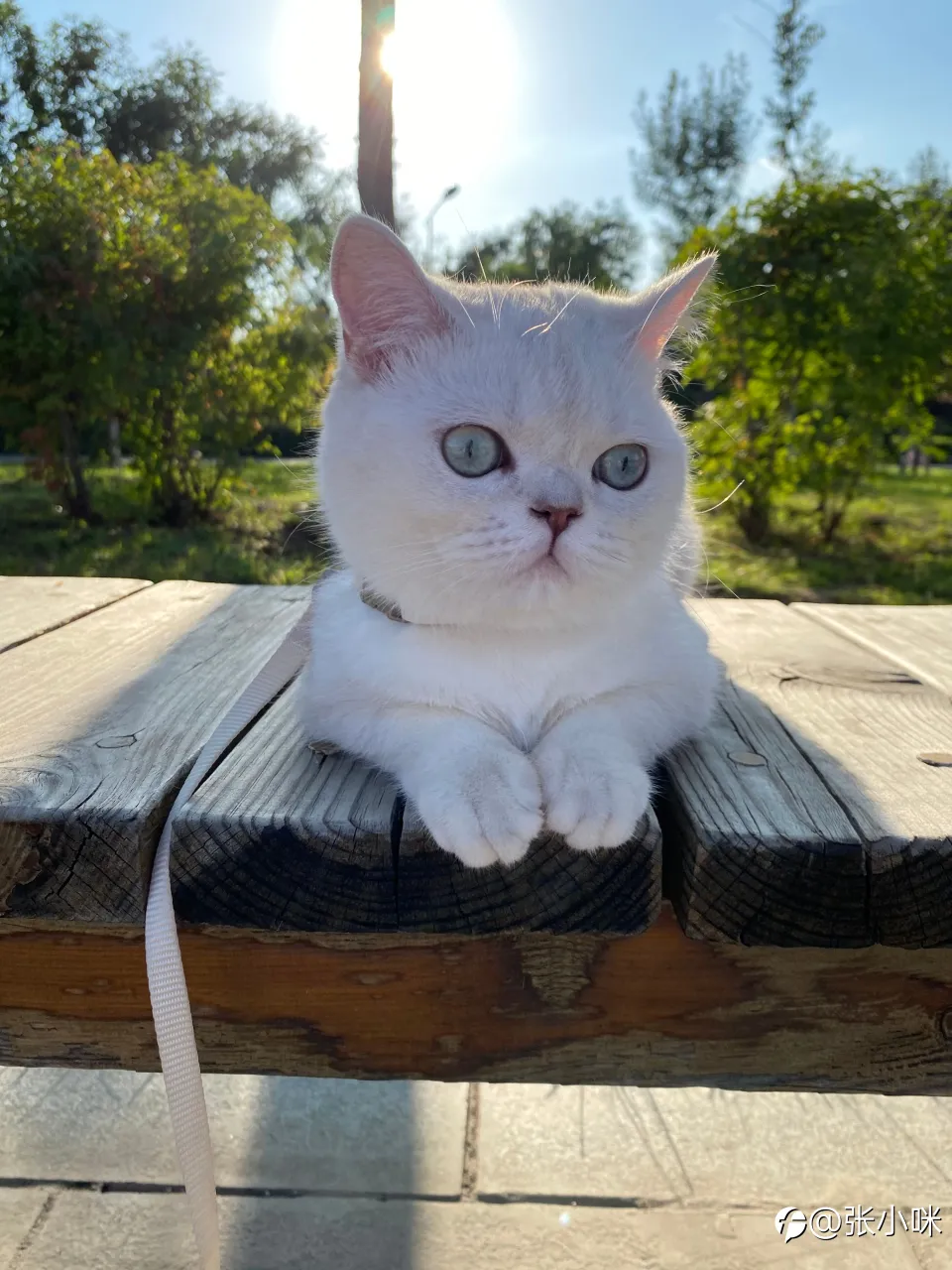 feed image