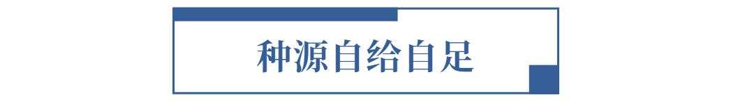 圣农发展——白羽肉鸡领域全产业链的主导者