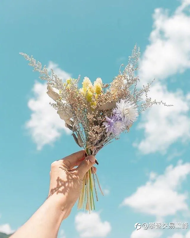 feed image