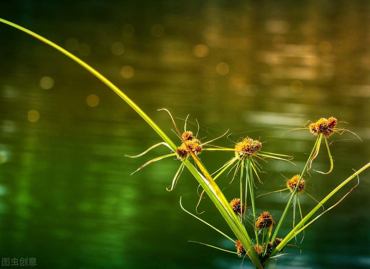 黄金依然是主升浪形态，原油高位区间整理