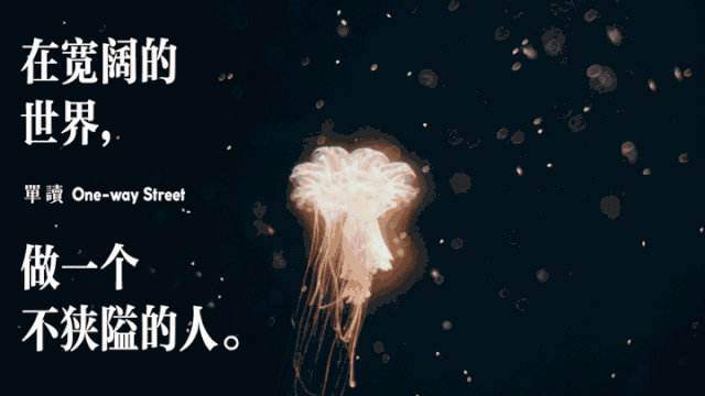 05、那些学会了对市场“愚忠”的交易者，最终都实现了稳定盈利