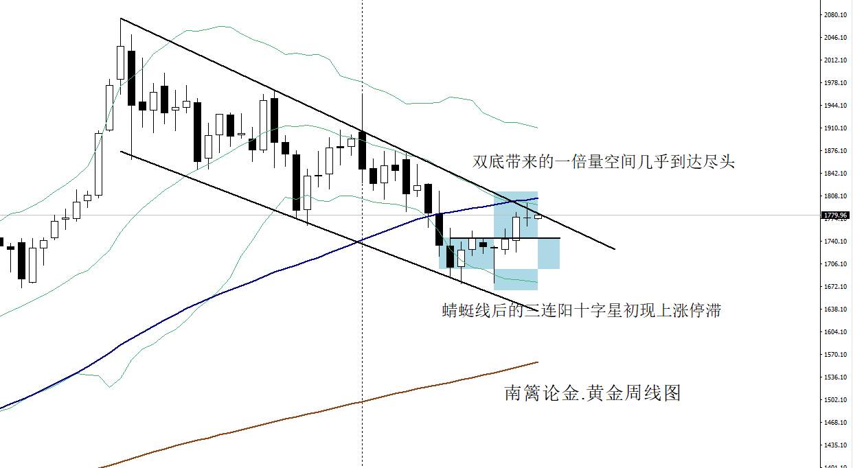 【南篱/黄金】今天的黄金会乖乖的找1786吗？