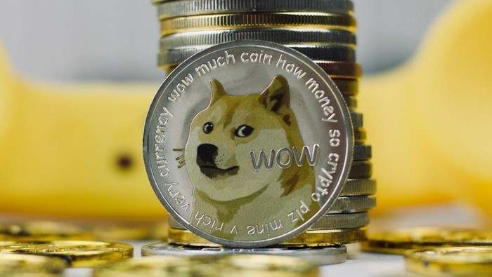 Pecah Rekor Lagi! Harga Dogecoin Sudah Meroket 8.000% Tahun Ini