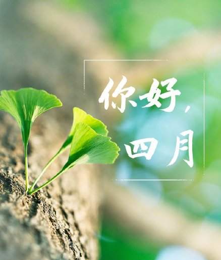 【黄金篇】：黄金这走势是见底了吗？