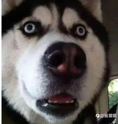 交易人的下场都很惨？别被恐惧支配了视听！