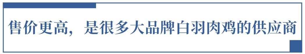 圣农发展——白羽肉鸡领域全产业链的主导者