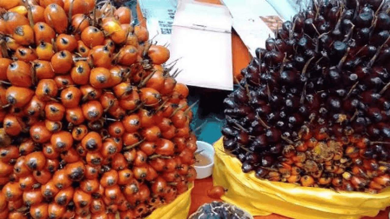 Laba Swasti Sumbermas Sarana Naik Signifikan, Ini Jumlahnya!