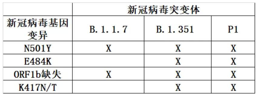 印度疫情连续四天新增超30万！真正的大爆发可能还在后面