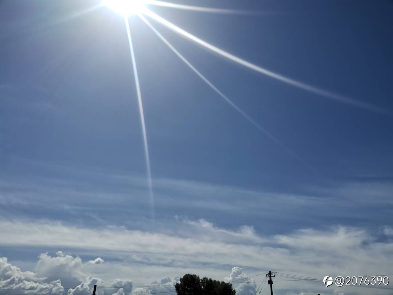 feed image