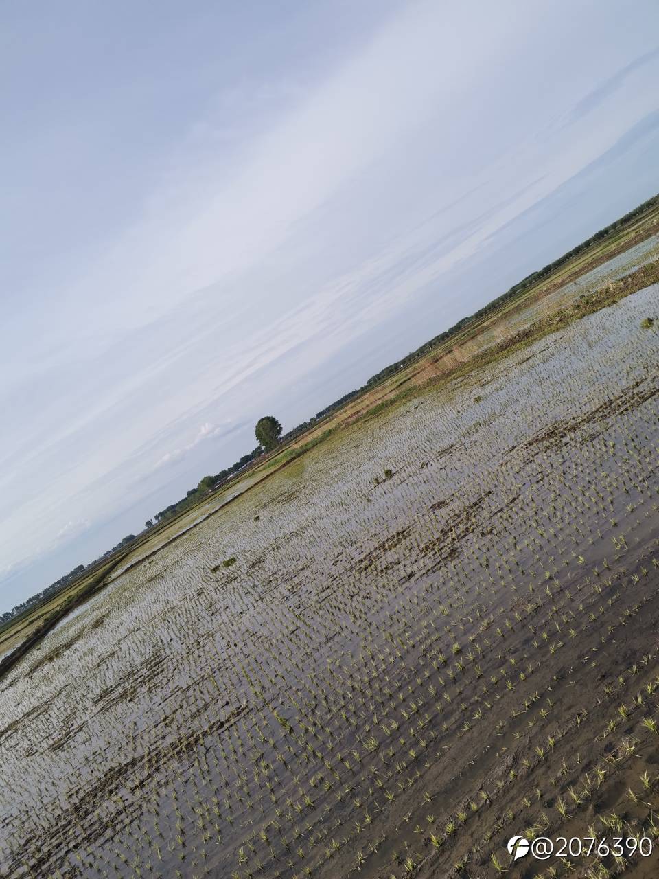 feed image