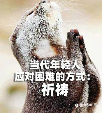 很久不见三毛了，我老想他了，大家知道他在哪里么？😂😂😂