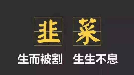 炒币VS挖矿, 哪个更有前途？