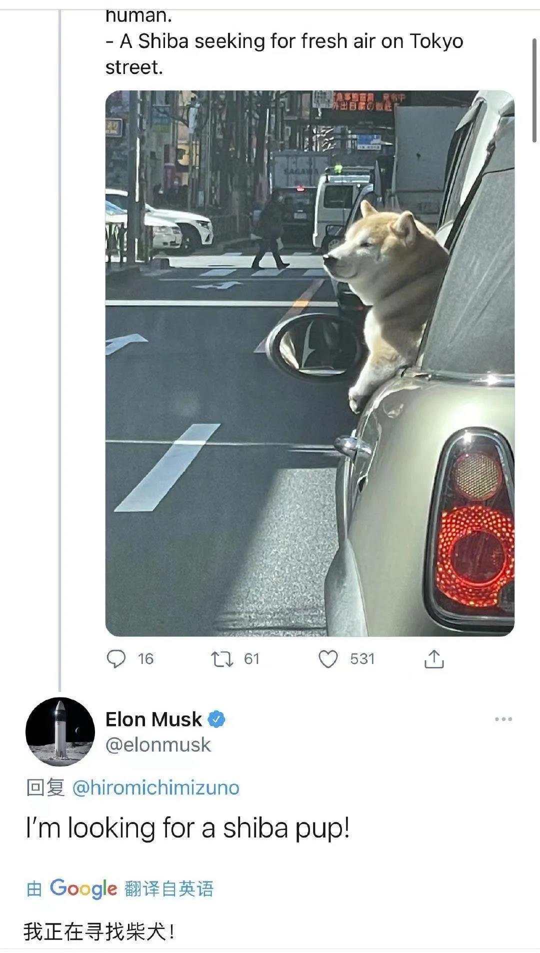 聊一聊：最近崛起的SHIBA柴犬币