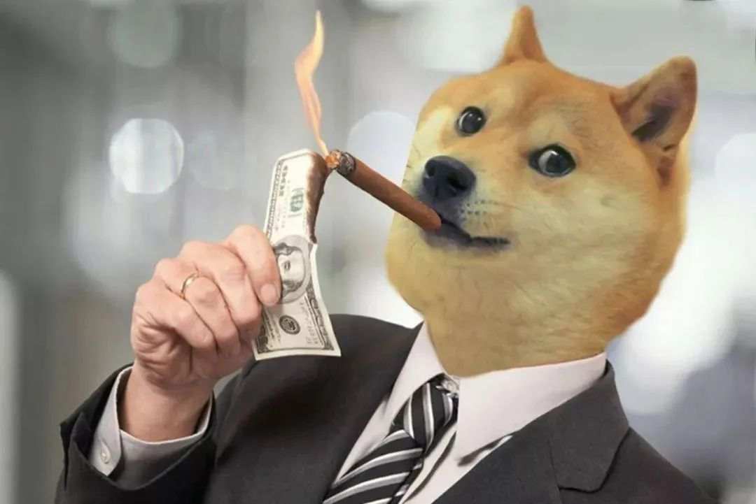 市场荒诞剧？今年最牛的资产：暴涨118倍的狗狗币！