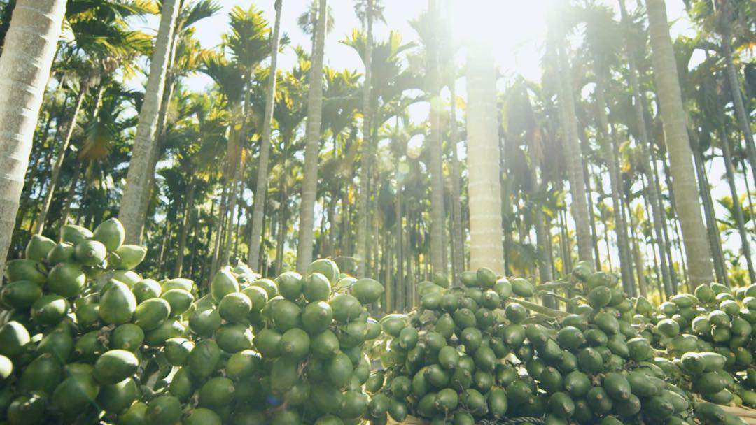 槟榔跨界“破圈”刮起高端风，和成天下520刷屏背后，有什么硬核逻辑？