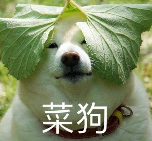 币圈一哥“马斯克”，为何带头叛变？