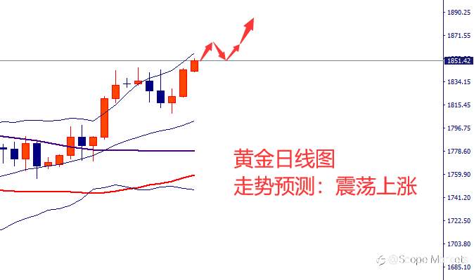 SCOPE MARKETS【市场周评】丨2021.05.17