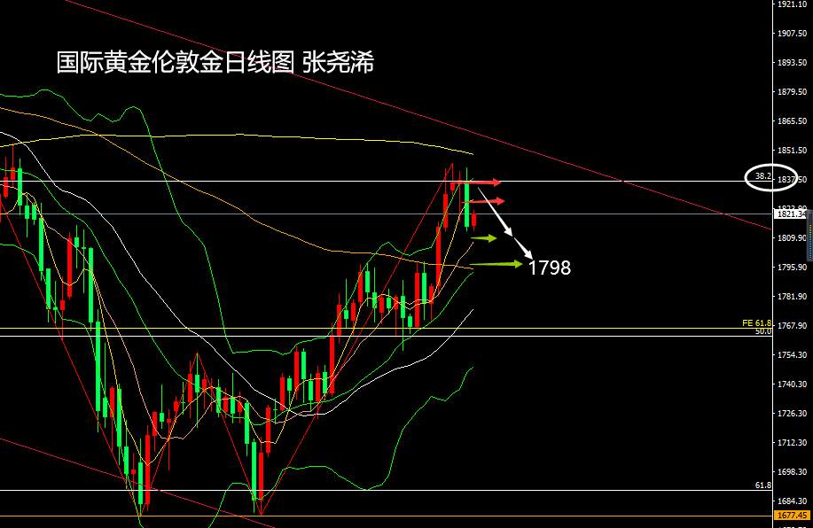 张尧浠：CPI大增推升加息预期、黄金巨震转跌关注1798