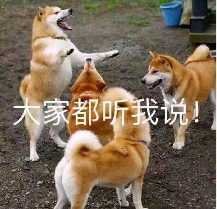 币圈一哥“马斯克”，为何带头叛变？