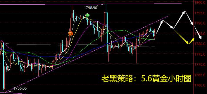 老黑策略：5.6黄金分析策略