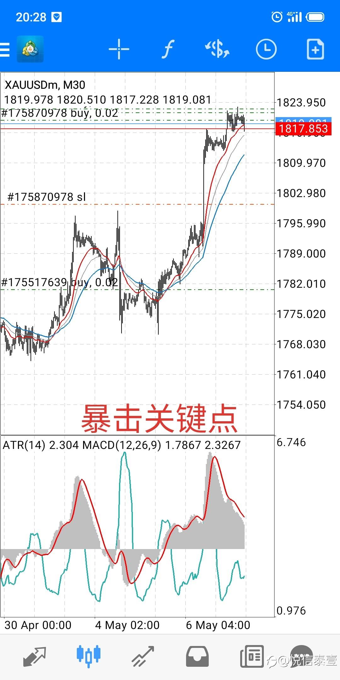 等待大风起,静看花落时