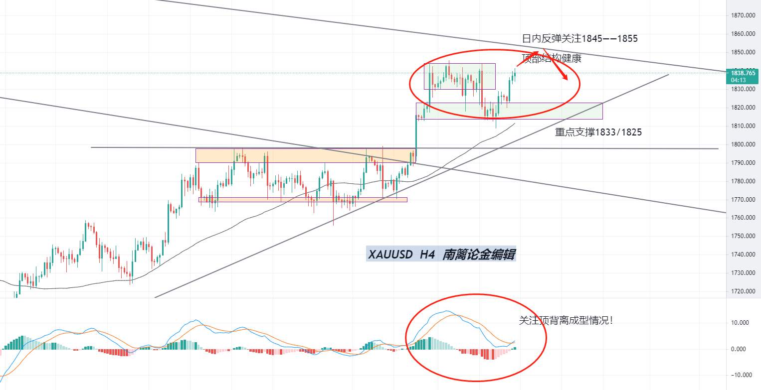 【南篱/黄金】虽迟但到，数据杂乱，黄金究竟如何分析
