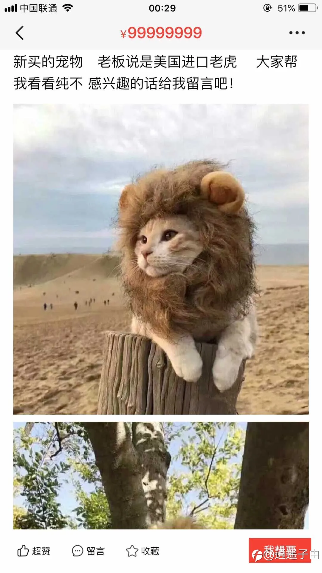 feed image