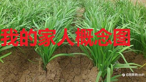 为什么有人喜欢炒股