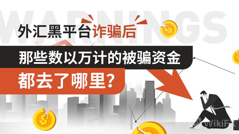 外汇黑平台诈骗后,那些数以万计的被骗资金都去了哪里?