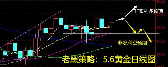 老黑策略：5.6黄金分析策略