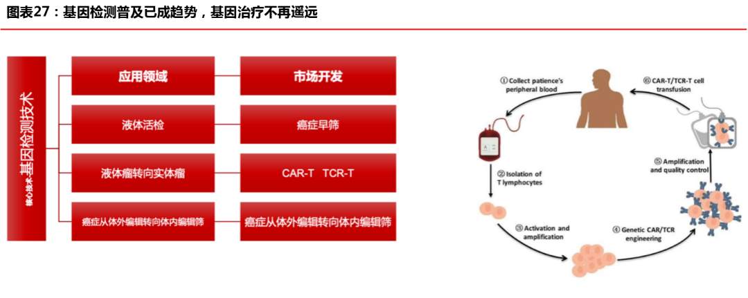 “创新经济”开启下一个十年超级周期