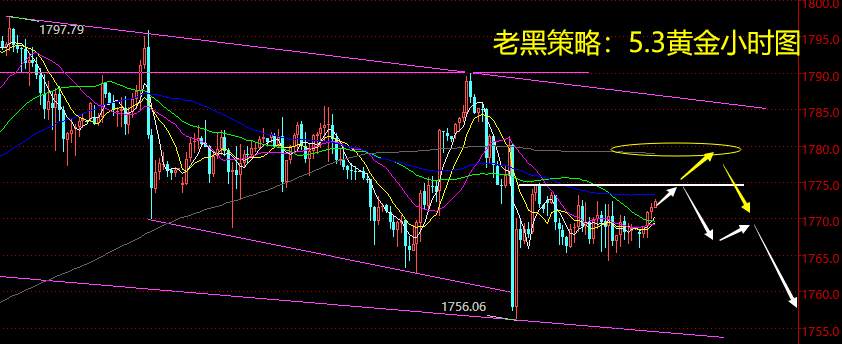 老黑策略：5.3黄金分析策略