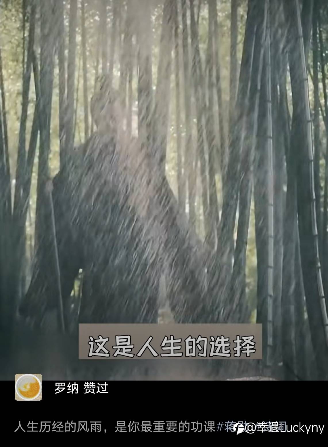 回首向来萧瑟处，也无风雨也无晴