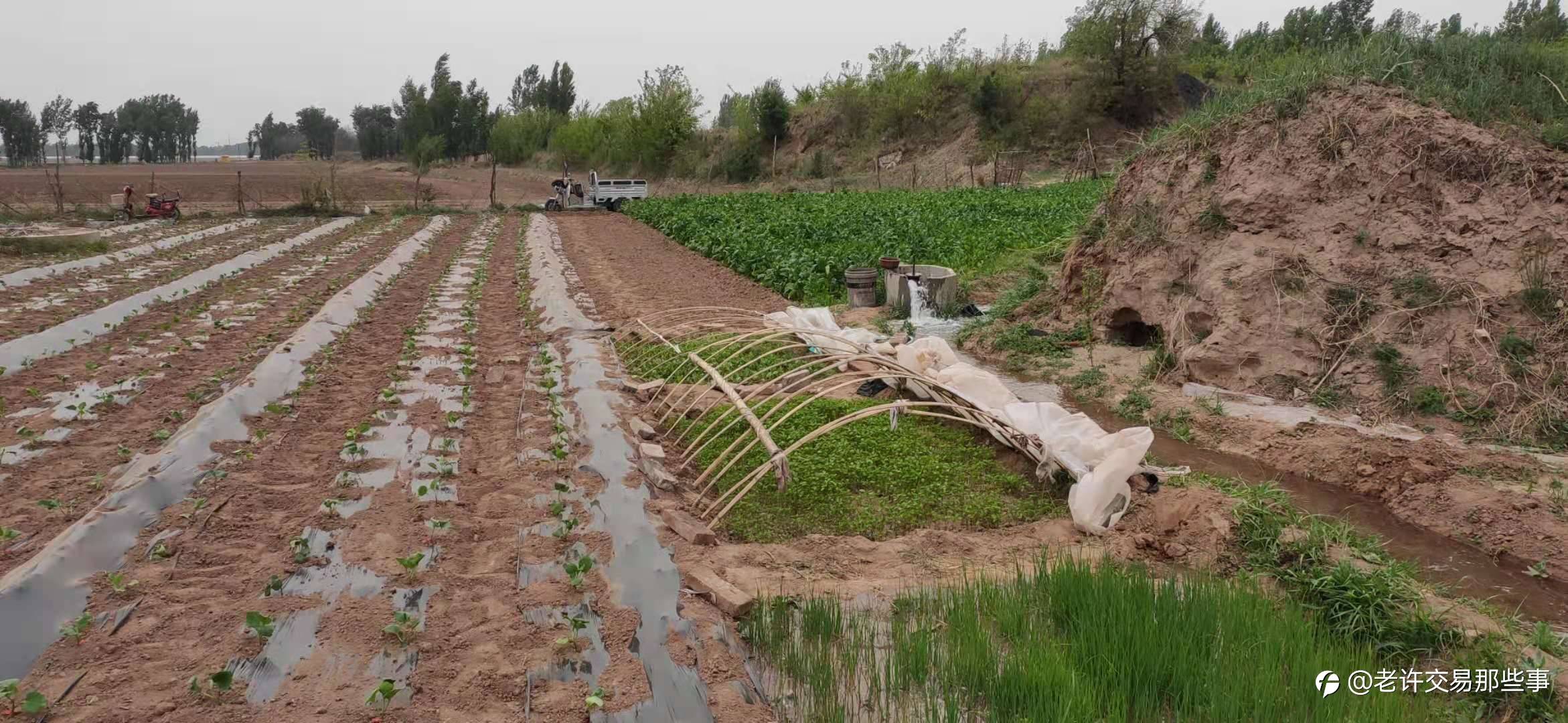 交易的这块“田”,你要种吗?