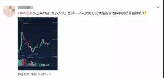 柴犬币爆红，一个月涨百倍，有人3000元赚了60万元？