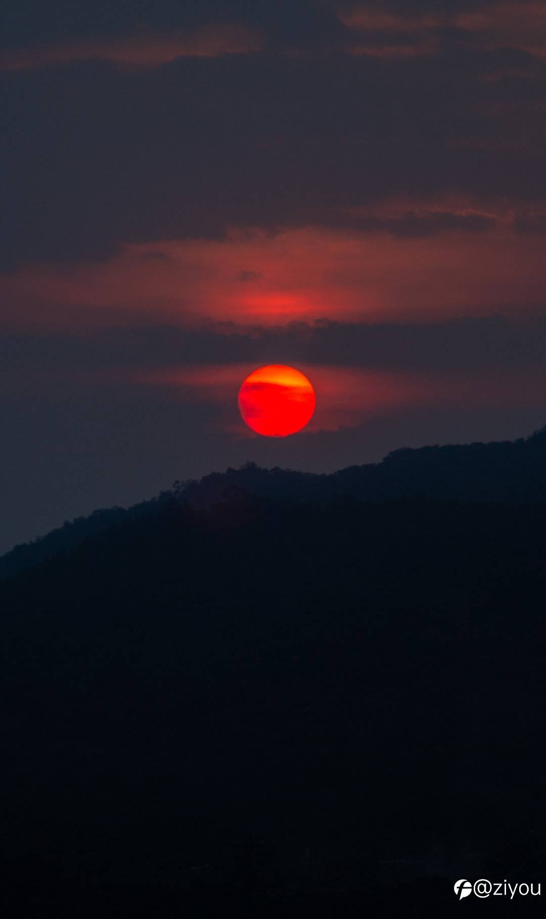 feed image