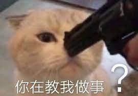 币圈一哥“马斯克”，为何带头叛变？