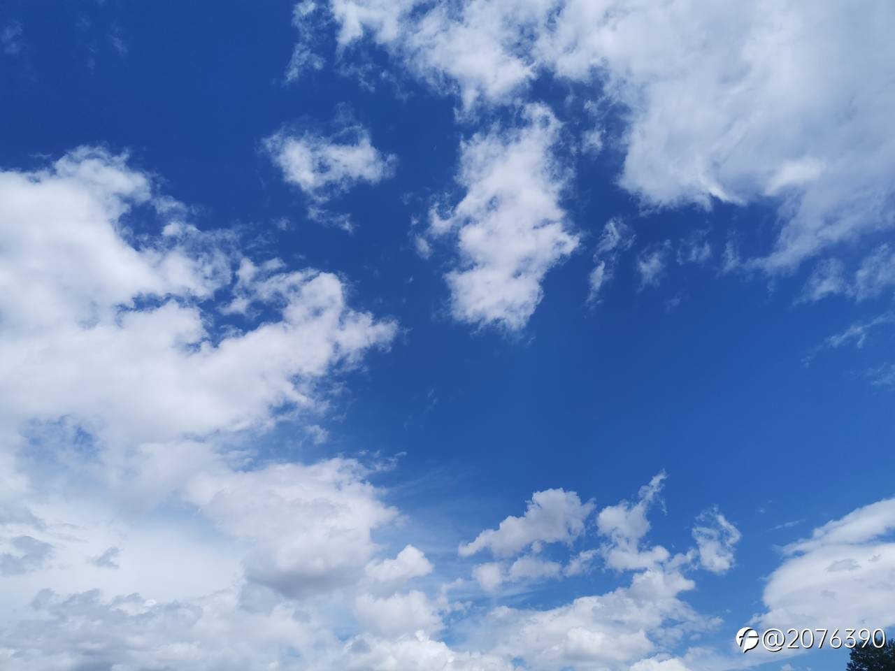 feed image