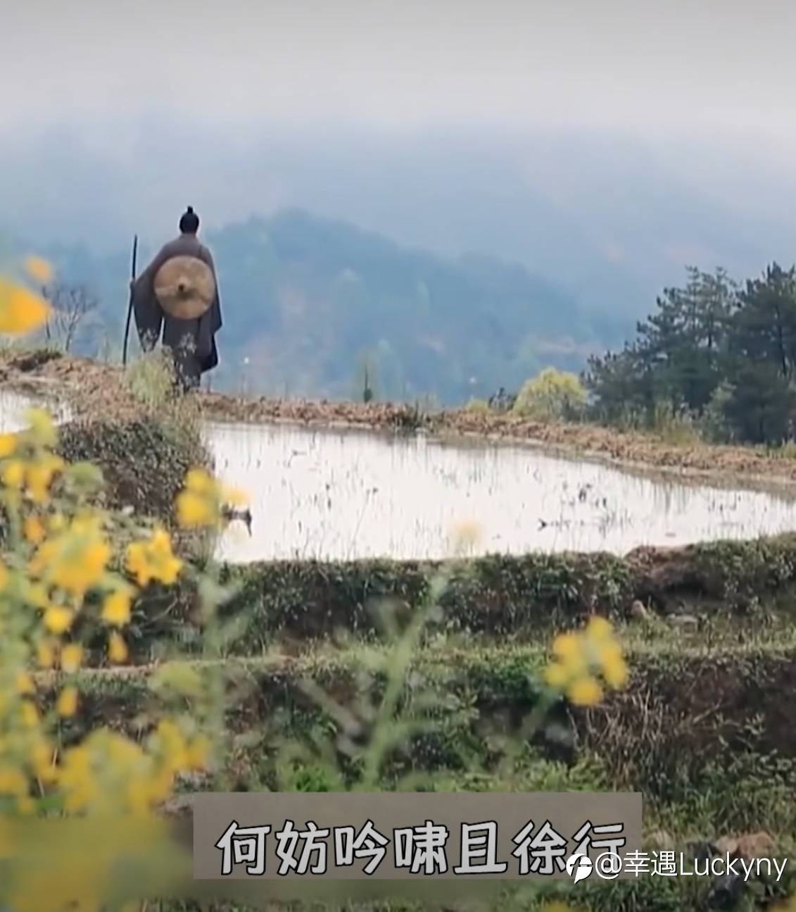 回首向来萧瑟处，也无风雨也无晴