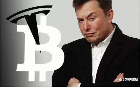 特斯拉叫停比特币购车，谁会是马斯克的下一个宠儿？