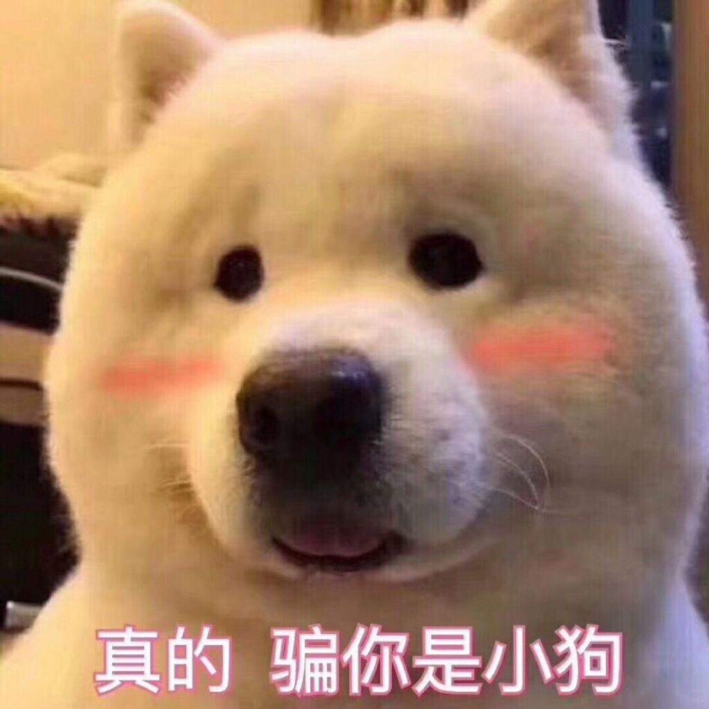 币圈一哥“马斯克”，为何带头叛变？