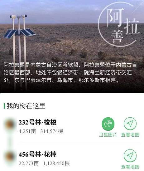 支付宝靠蚂蚁森林偷偷薅你的羊毛？事情可没那么简单。