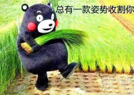 【南篱/黄金】韭菜肥了，收割一茬又一茬