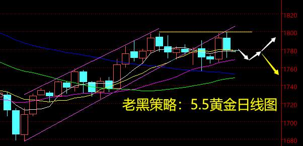 老黑策略：5.5黄金分析策略