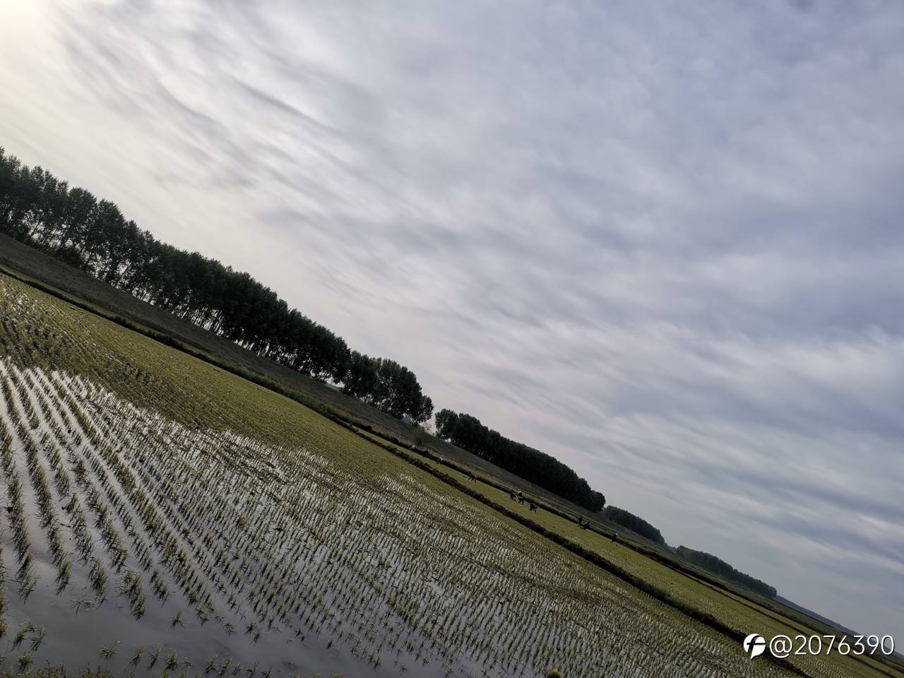 feed image