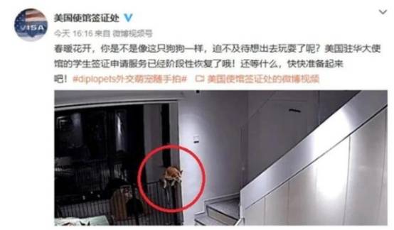 美国驻华使馆道歉
