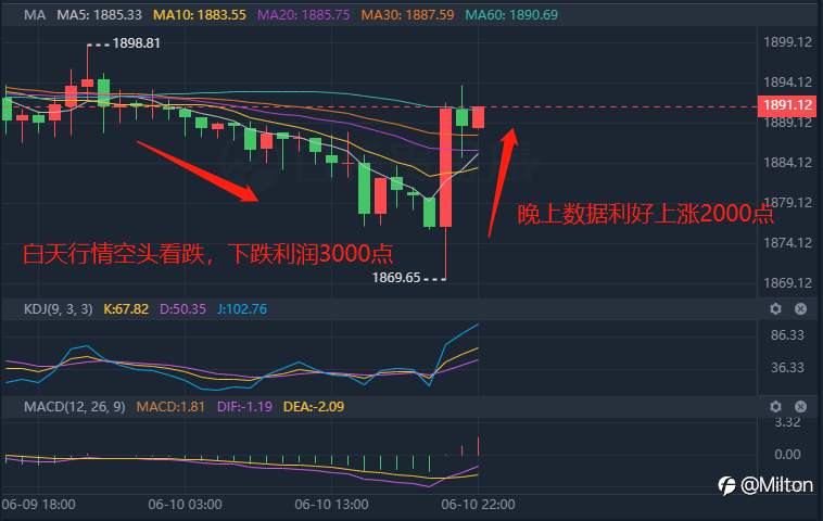 feed-image-2