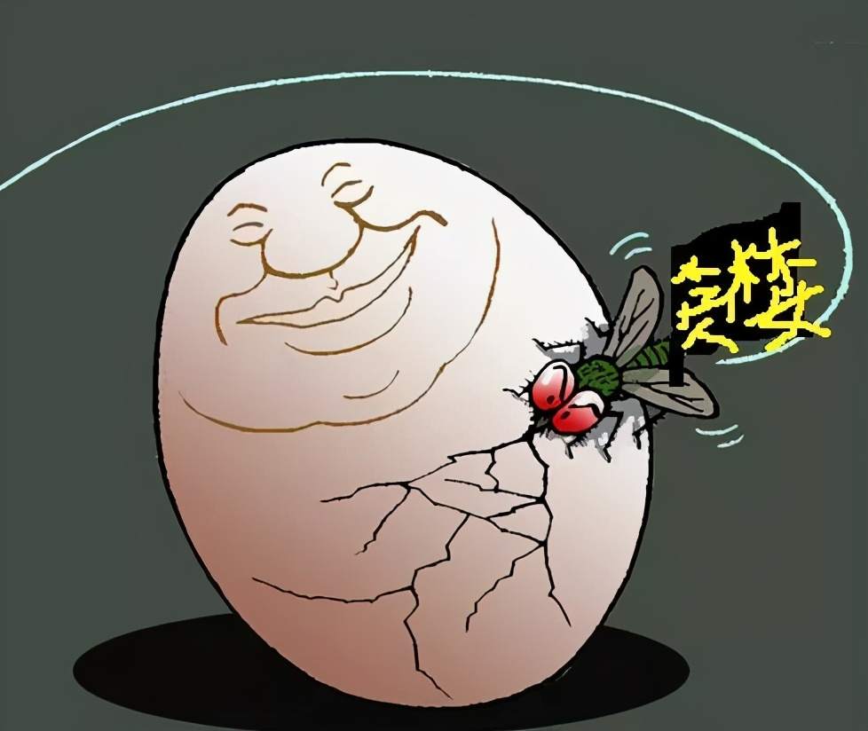 美元大放水，比特币暴跌，背后的真相是什么？