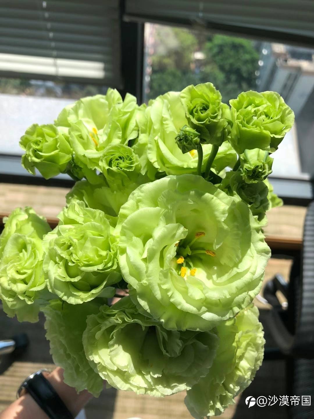 2021.6.4 外汇早报